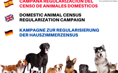 Campaña de regularización de animales e inscripción en el censo de San Fulgencio